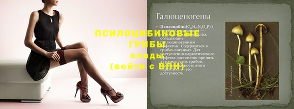 спиды Верея